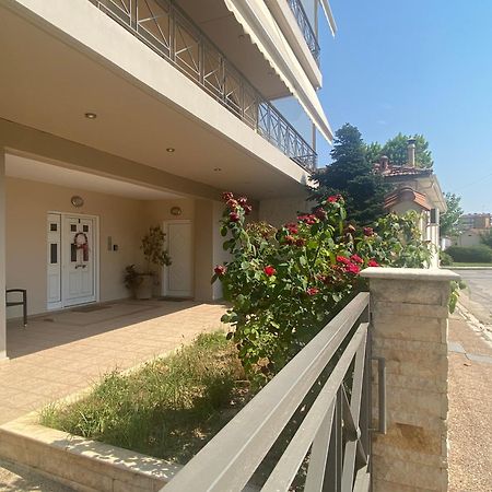 Cozy & Quiet City Apartment Tríkala المظهر الخارجي الصورة